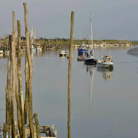 Maison Recente A L'aiguillon Sur Avec Jardin Et Animaux Admis - Fr-1-194-352 לה פוט-סור-מר