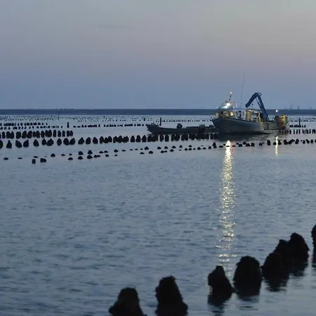 Maison Récente à Sur Avec Jardin Et Animaux Admis - Fr-1-194-352 Casa vacanze *