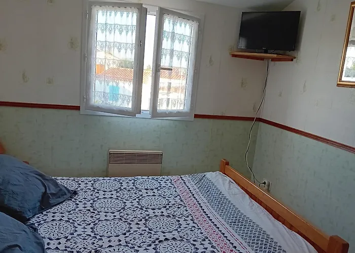 Maison Récente à Sur Avec Jardin Et Animaux Admis - Fr-1-194-352