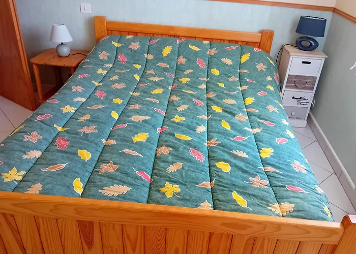 Maison Récente à Sur Avec Jardin Et Animaux Admis - Fr-1-194-352 LʼAiguillon-sur-Mer