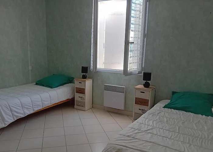 Maison Récente à Sur Avec Jardin Et Animaux Admis - Fr-1-194-352