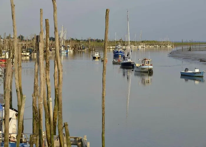 Maison Récente à Sur Avec Jardin Et Animaux Admis - Fr-1-194-352 LʼAiguillon-sur-Mer