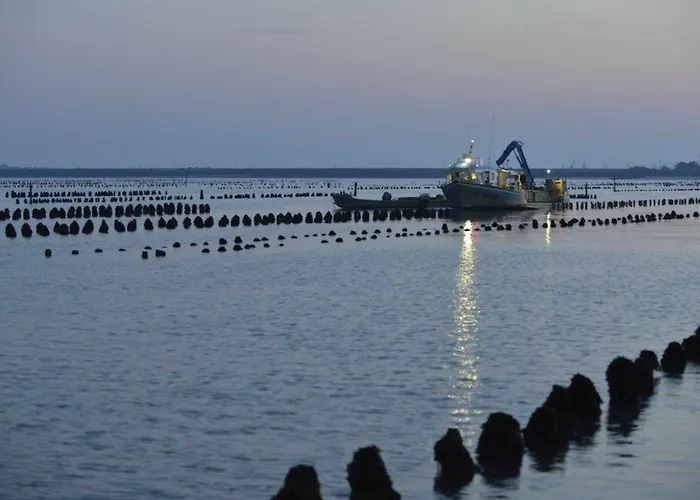 Maison Récente à Sur Avec Jardin Et Animaux Admis - Fr-1-194-352 Casa vacanze *